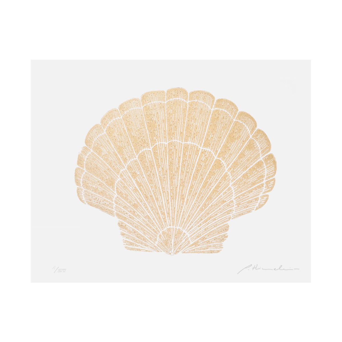 SEASHELL – 24 x 30 cm
