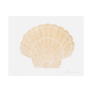 SEASHELL – 24 x 30 cm
